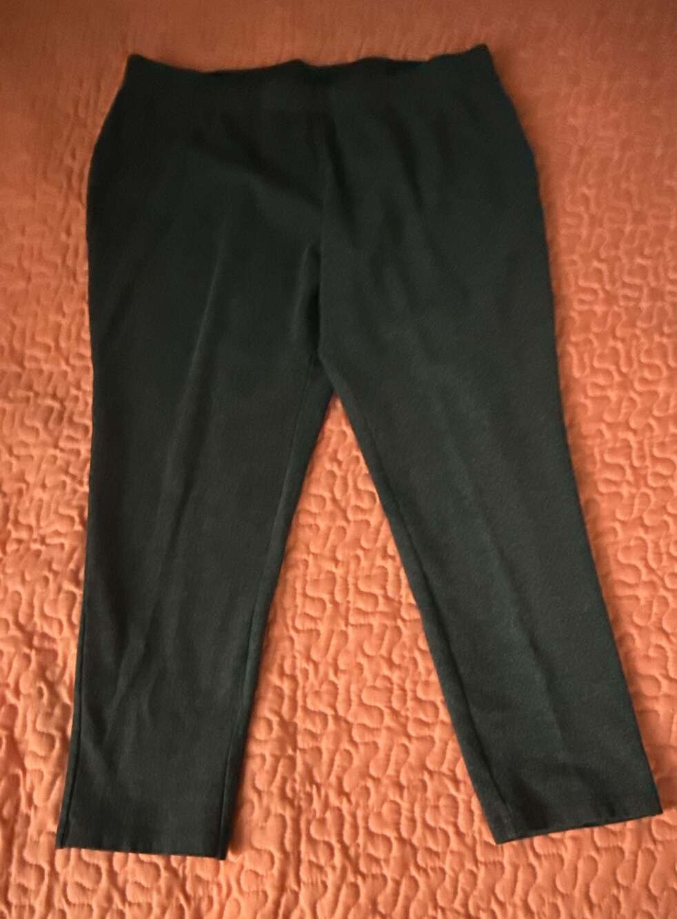 Philosophy Woman Dark Gray Stretch Pull-On Pants Large